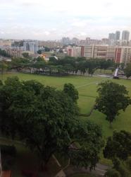 Lakeview Estate (D20), Apartment #65454062